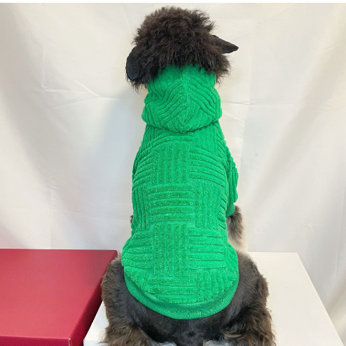 Fashionable Green Terry Hoodie for Pets