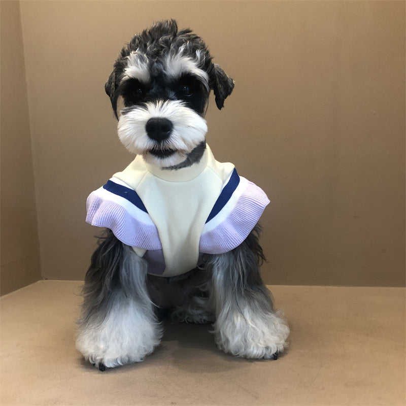 Padded Sweatshirt for Puppies in Autumn and Winter