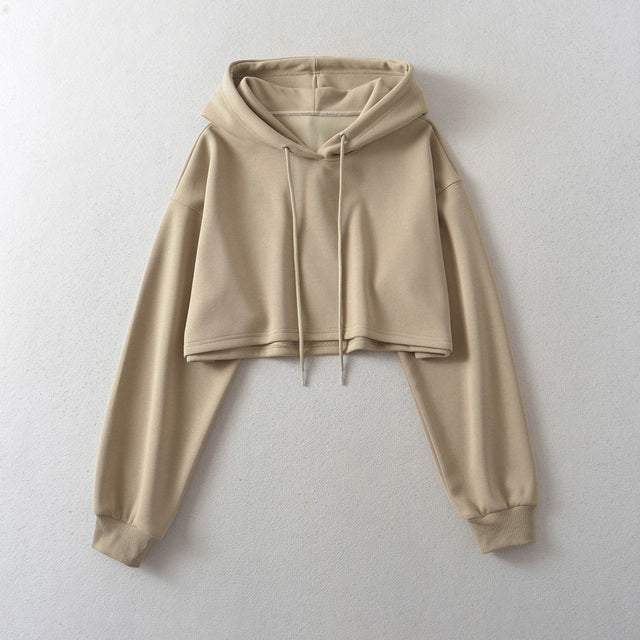 Women's 2023 Autumn Drawstring Hooded Pullover Sweater | Streetwear