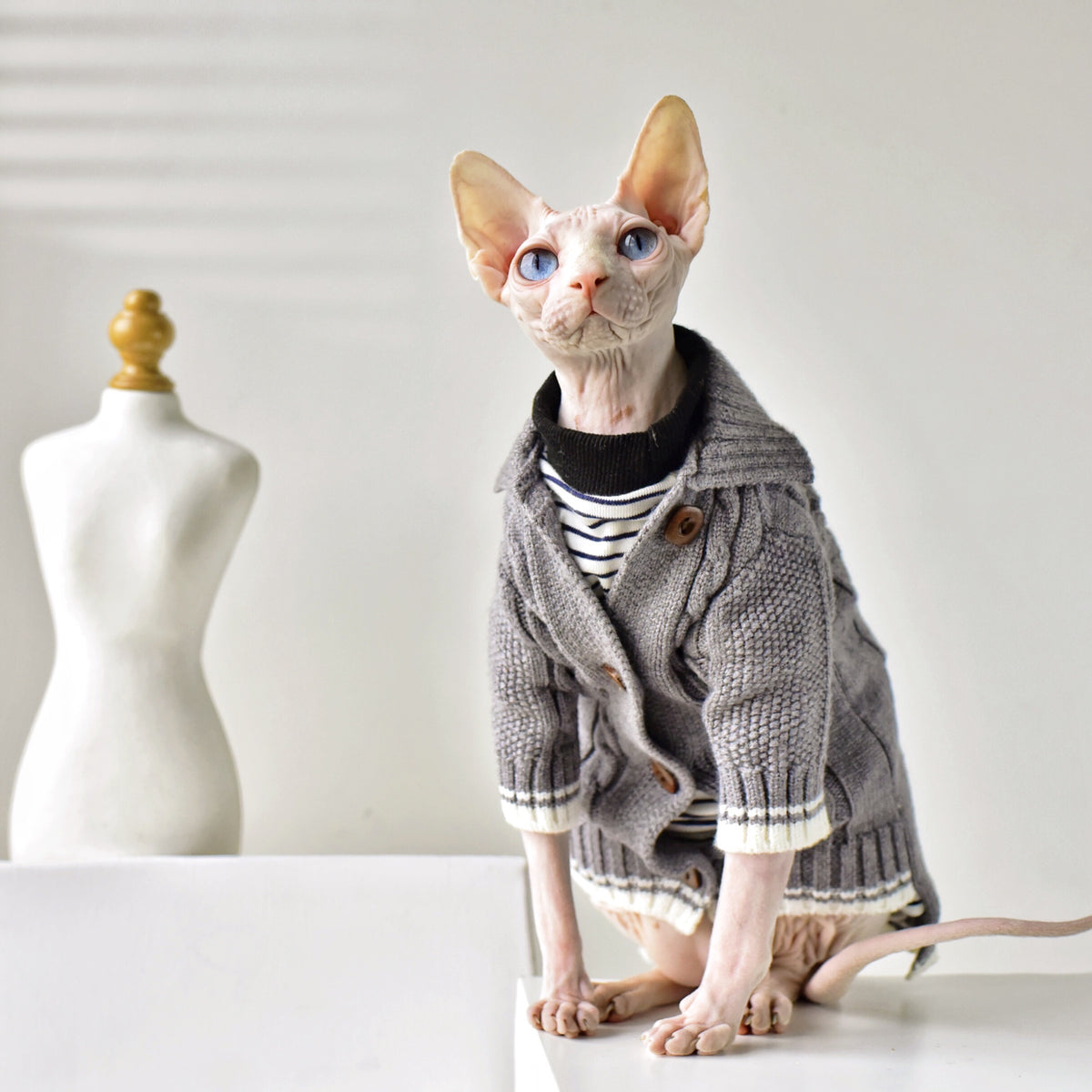 Four Seasons Sweater for Hairless Cat Cardigan