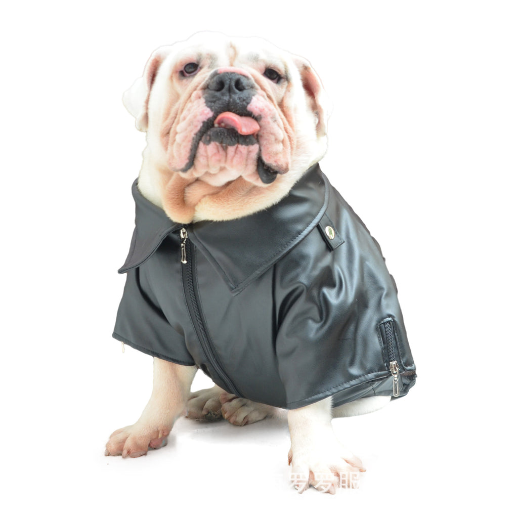Big Dog Leather Jacket for Autumn and Winter Wear