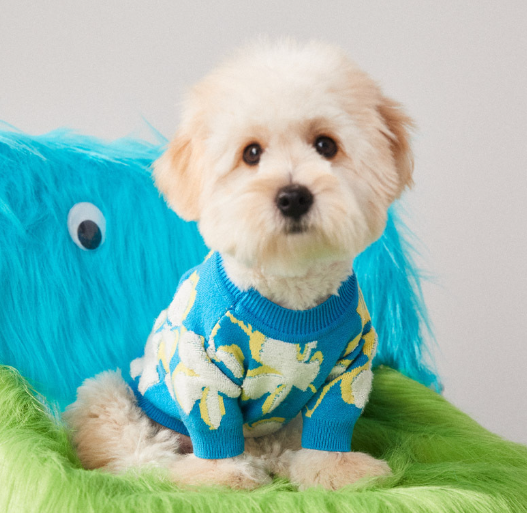Warm Winter Pet Sweater for Dogs and Cats