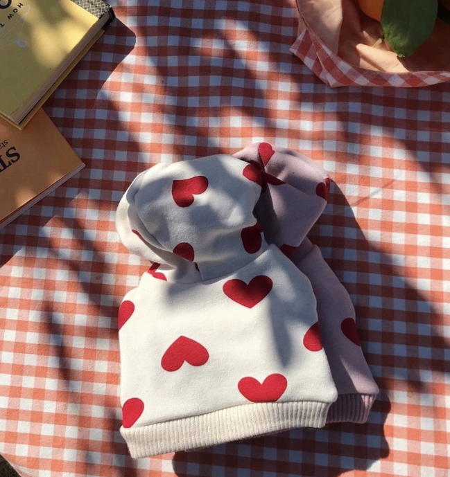 Printed Love Sweater Pet