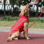 Reflective Padded Warm Jacket for Dogs in Winter