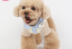 New Color Thin Cotton Cardigan for Pets (Spring/Summer)