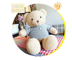 Teddy Bear Sweater Cartoon Plush Toy Doll