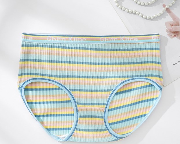 High-Waisted Cotton Plus Size Rainbow Striped Panties