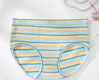 High-Waisted Cotton Plus Size Rainbow Striped Panties