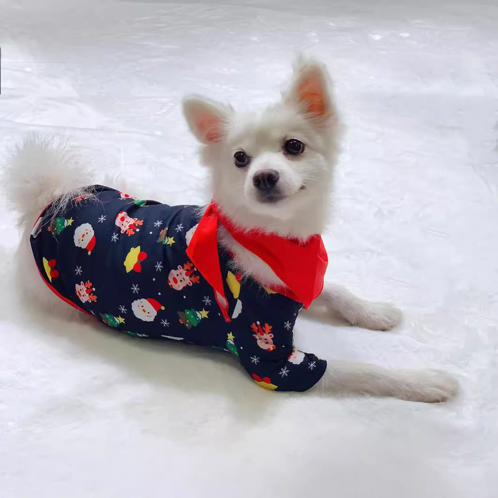Christmas Family Pajama Set with Santa Print