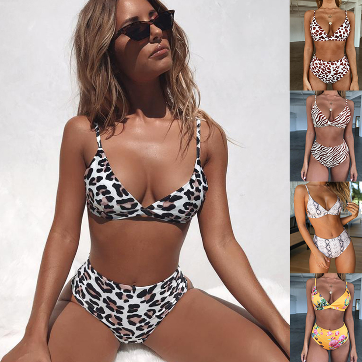 Leopard and Snake Print Women's Bikini Swimsuit