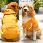 Zipper Pocket Dog Sweater