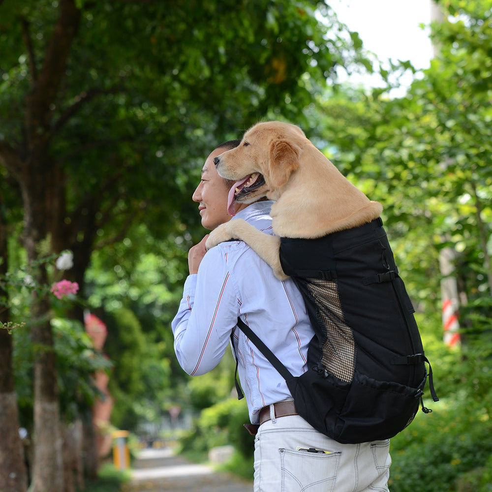 Pet Backpack for Dogs, Ventilated and Washable