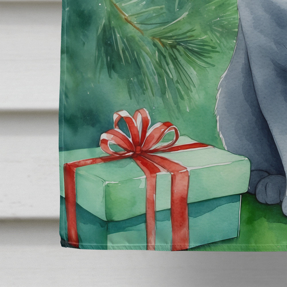British Shorthair Cat By the Christmas Tree House Flag