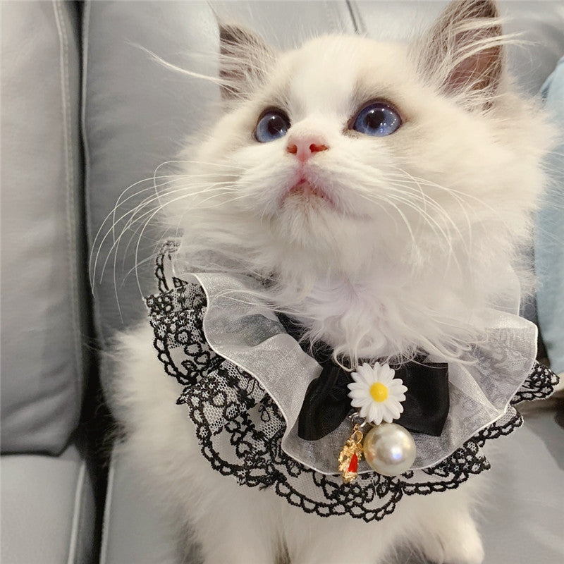 Black Fairy Pet Scarf with Lace Details
