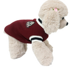 Knitted V-Collar Dog Sweater in Preppy Style