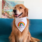 Pet Rainbow Triangle Scarf and Dog Towel