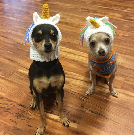 "Yarn Beanie for Pets - Unicorn Design"