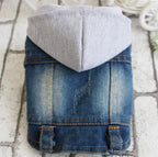 Gray Denim Vest Coat for Bichon - Spring & Summer Pet Wear