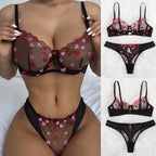 Sheer Mesh Heart Embroidered Bra and Thong Lingerie Set
