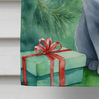 British Shorthair Cat By the Christmas Tree House Flag