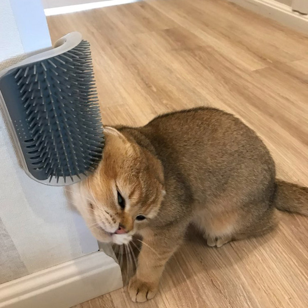 Cat Self-Grooming Brush, Wall & Corner Mounted Massage Comb, Soft Bristle Shedding & Deshedding Tool for Cats