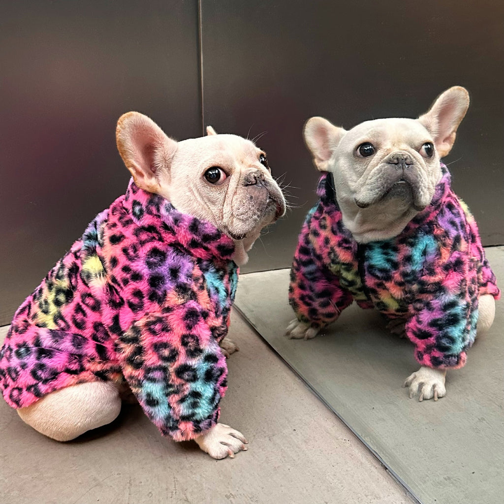 Colorful Leopard Print Velvet Coat for Pets