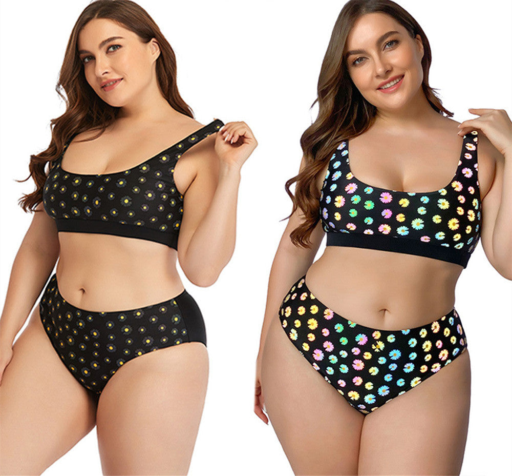 Plus-Size Two-Piece Swimsuit