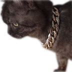 Gold-Plated Necklace for Pet Dogs