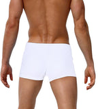 Mens Swim Trunks for Beach and Pool