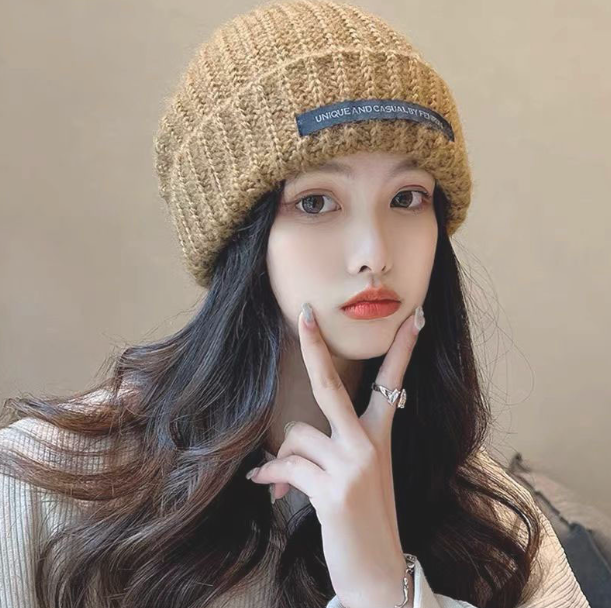 Women's Thick Wool Blend Knitted Hat for Autumn/Winter | Embroidered Cap