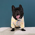 Dog Velvet Sweater for Spring and Autumn (Schnauzer)