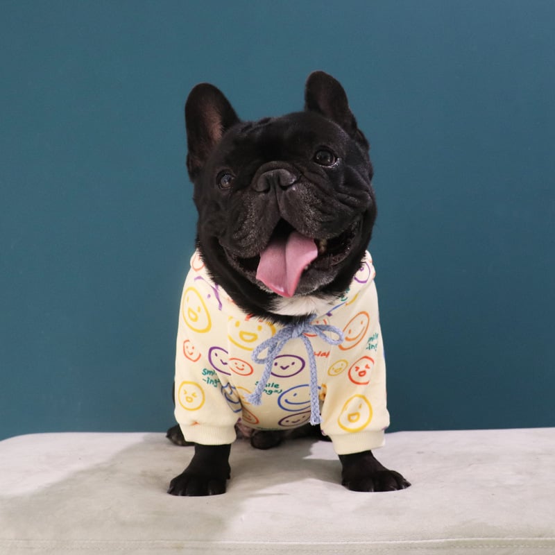 Dog Velvet Sweater for Spring and Autumn (Schnauzer)