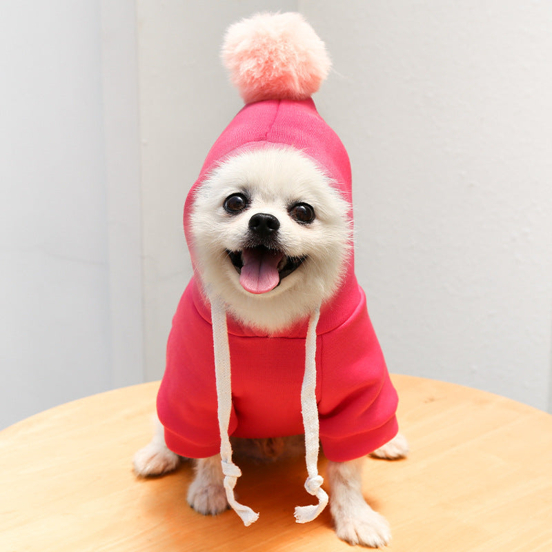 Autumn Cartoon Sweater for Dogs and Cats