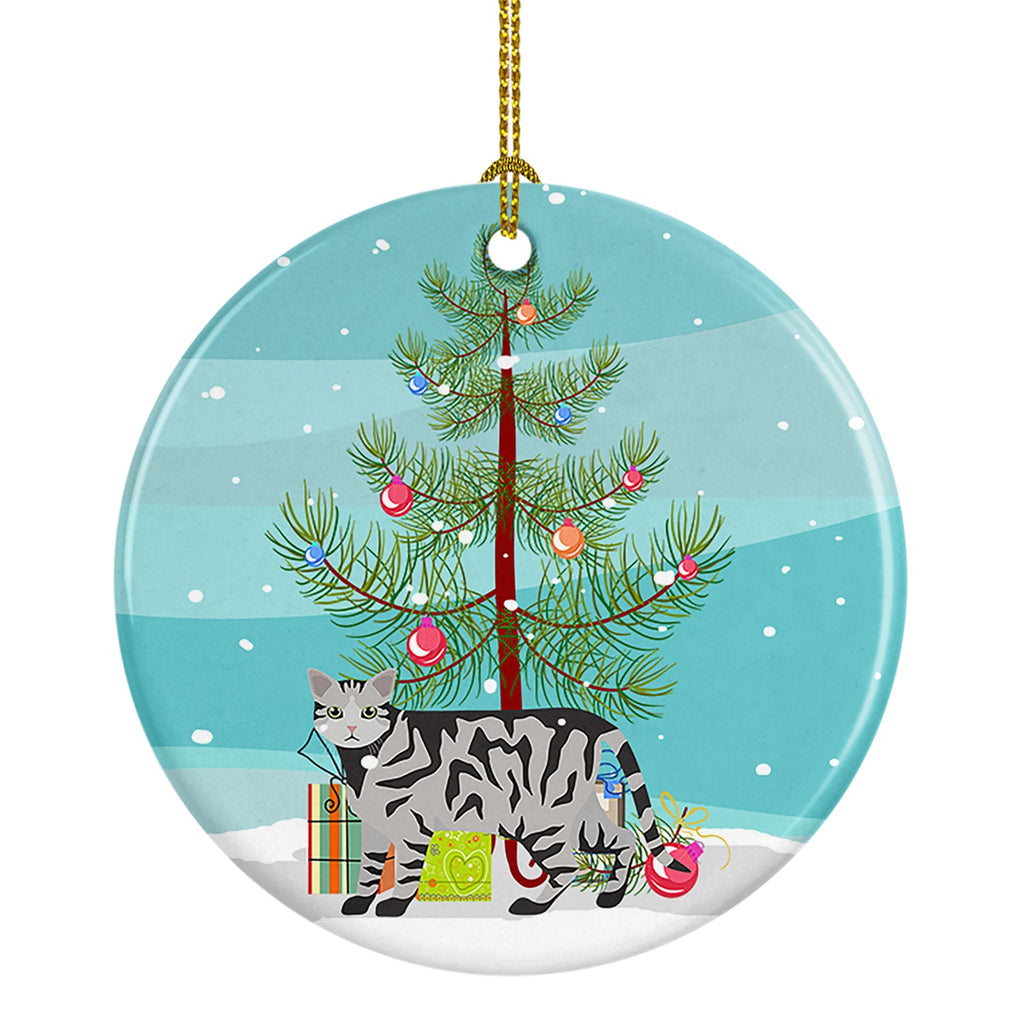 European Shorthair Cat Christmas Ceramic Ornament
