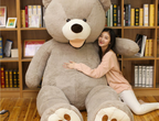 Plush Toy Teddy Bear Shell Cover | Home Decor