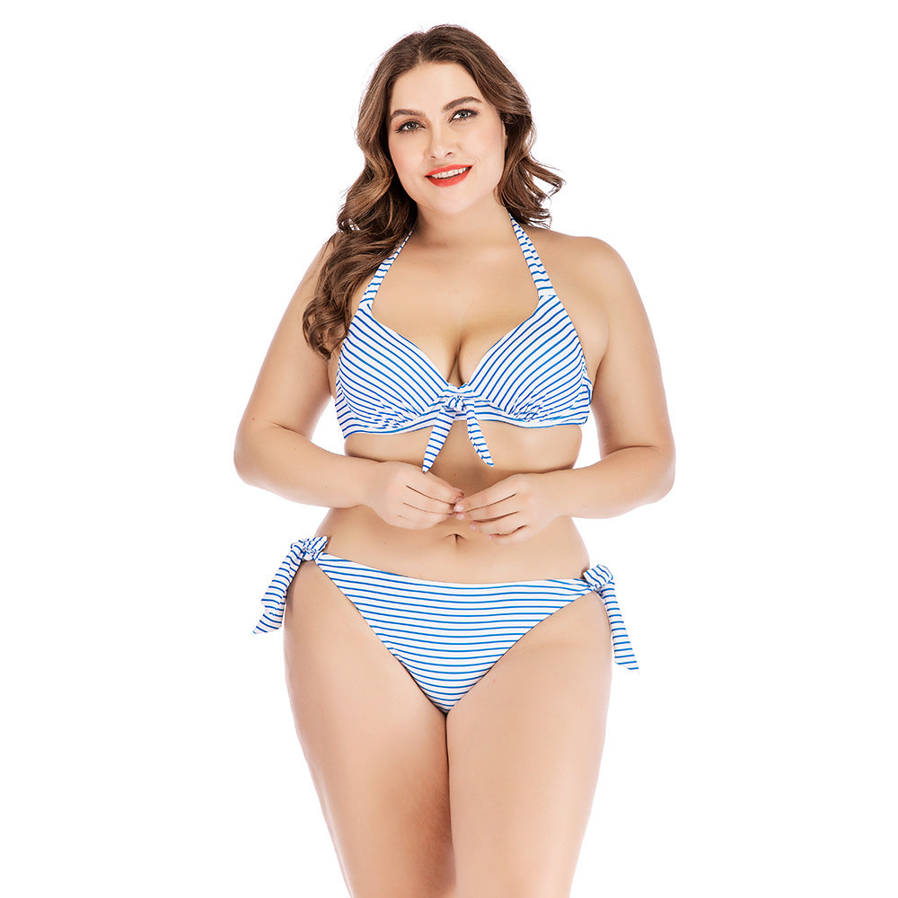 Plus Size Striped Print Bikini with Steel Support
