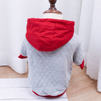 Winter Double Padded Hoodie for Pugs and Fat Dogs | Streetwear