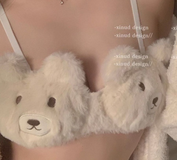 Plush Embroidered Bra Set