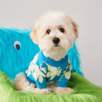 Warm Winter Pet Sweater for Dogs and Cats
