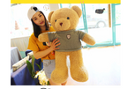 Teddy Bear Sweater Cartoon Plush Toy Doll