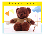 Teddy Bear Sweater Cartoon Plush Toy Doll