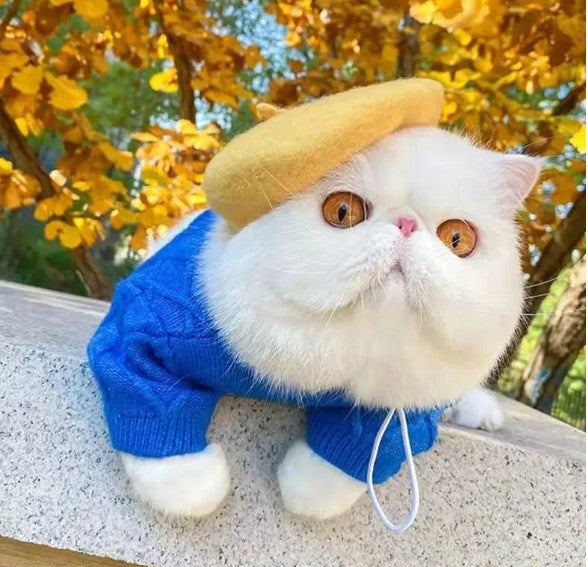 Pet Winter Wool Cap | Embroidered Cap