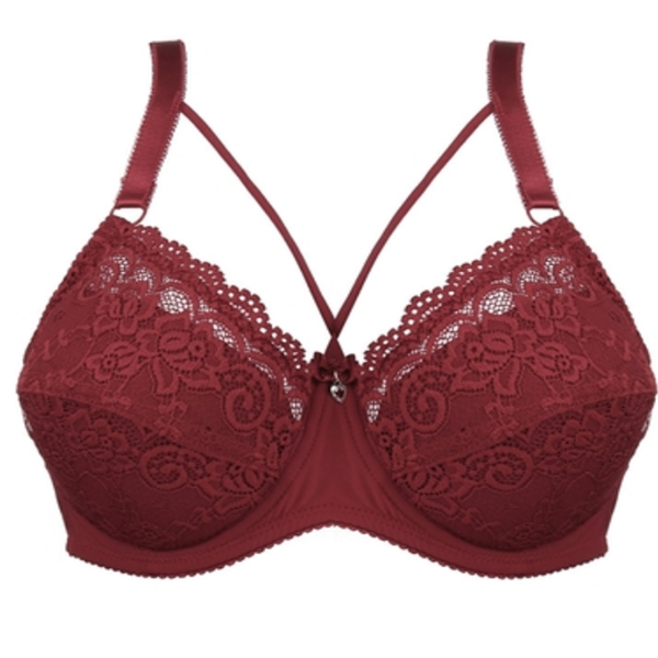 Lace Bra Collection - Elegant and Comfortable Design
