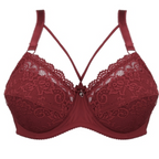 Lace Bra Collection - Elegant and Comfortable Design