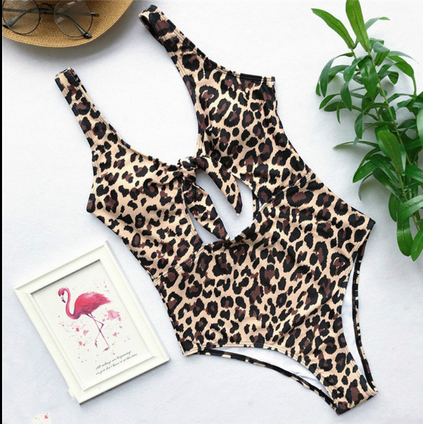 Bikini Swimwear Set for Beach and Bathing Suit