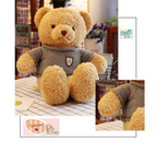 Teddy Bear Sweater Cartoon Plush Toy Doll