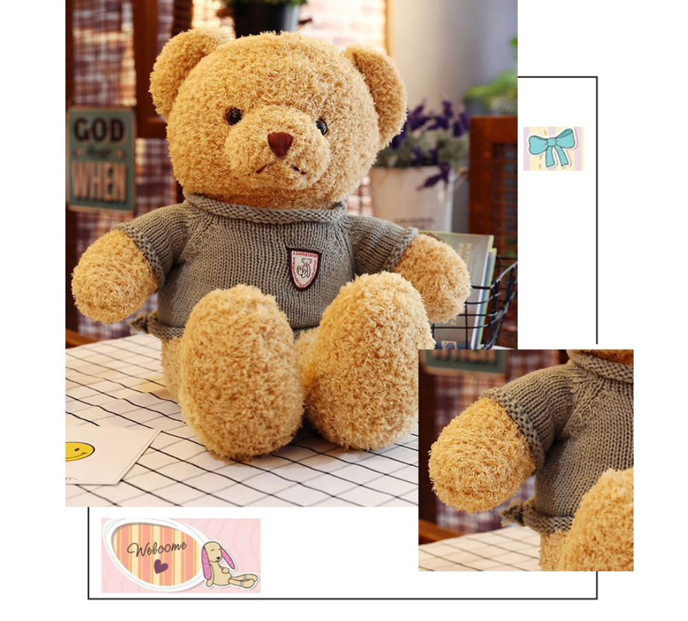 Teddy Bear Sweater Cartoon Plush Toy Doll