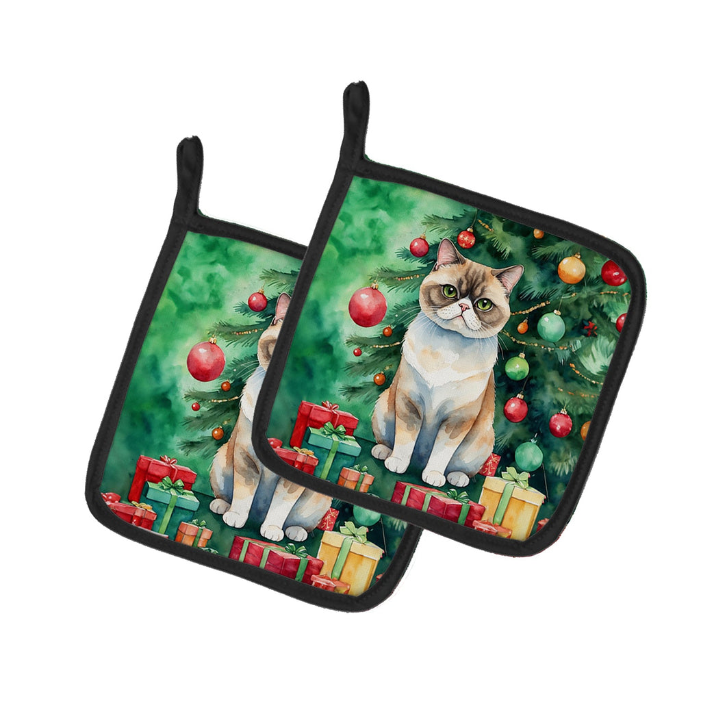 Exotic Shorthair Cat By the Christmas Tree Pair of Pot Holders