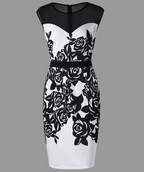Floral Bodycon Skirt with Mesh Overlay Dress for Women