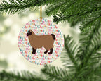 Owyhee Bob #2 Cat Christmas Ceramic Ornament